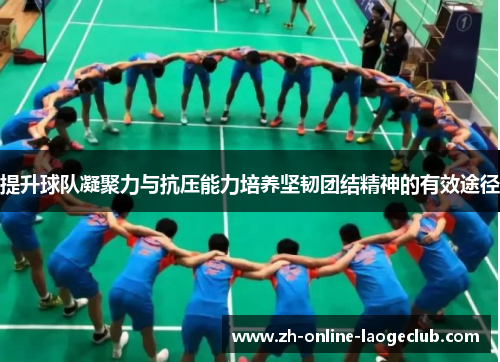 提升球队凝聚力与抗压能力培养坚韧团结精神的有效途径