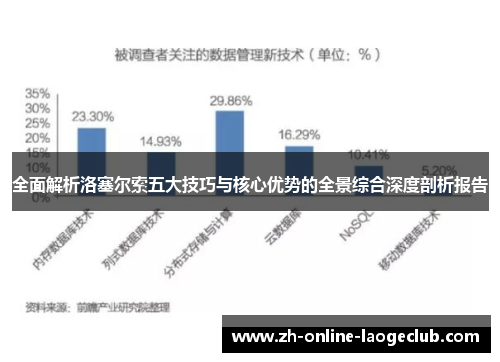 全面解析洛塞尔索五大技巧与核心优势的全景综合深度剖析报告